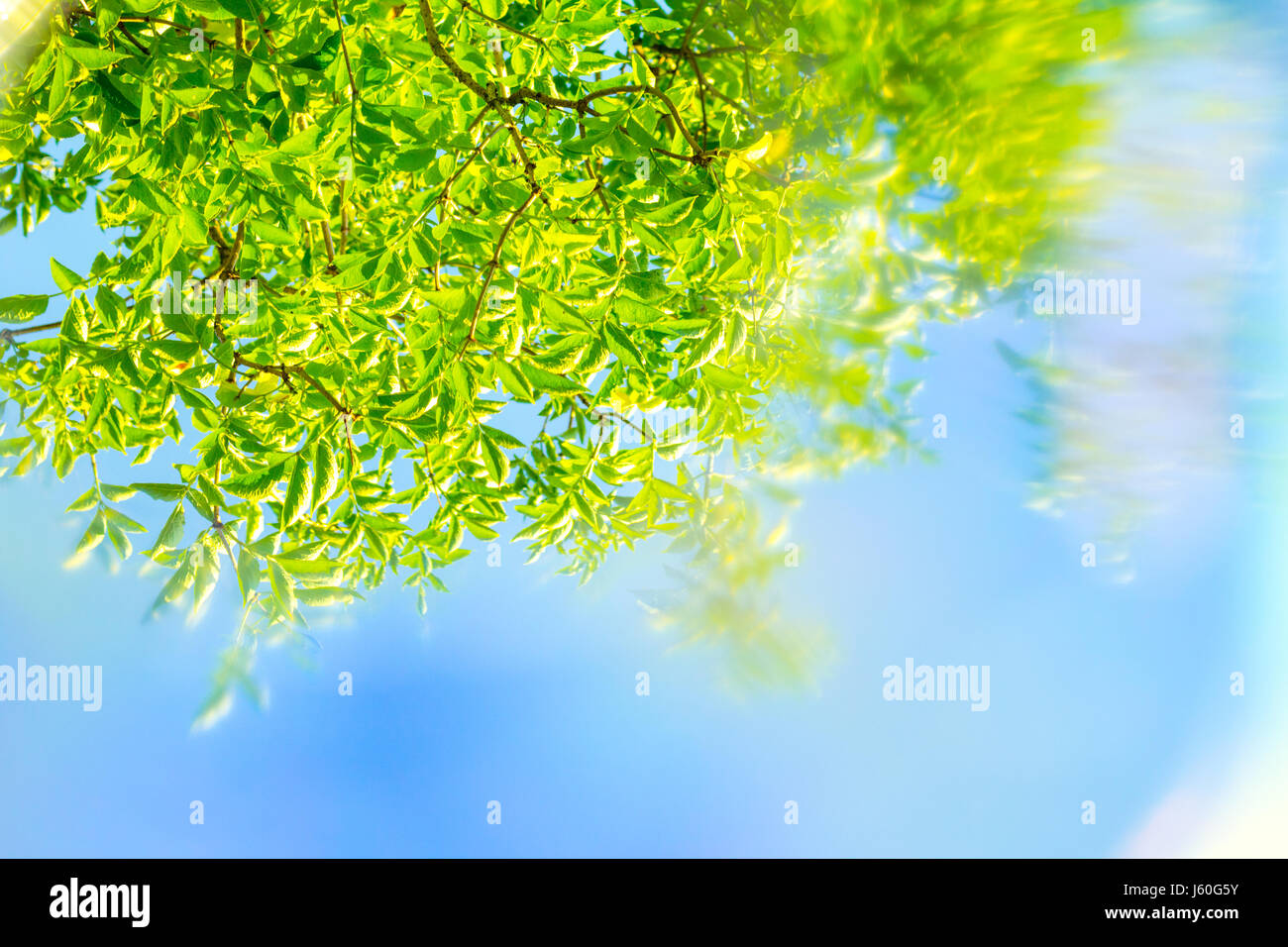 Artistic Frühling Hintergrund mit speziellen Unschärfe-Effekt Stockfoto