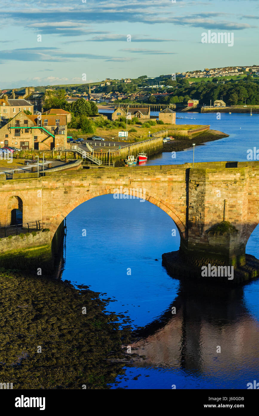 Berwick Brücke, auch bekannt als die alte Brücke, überspannt den Fluss Tweed in Berwick-upon-Tweed, Northumberland, England Stockfoto