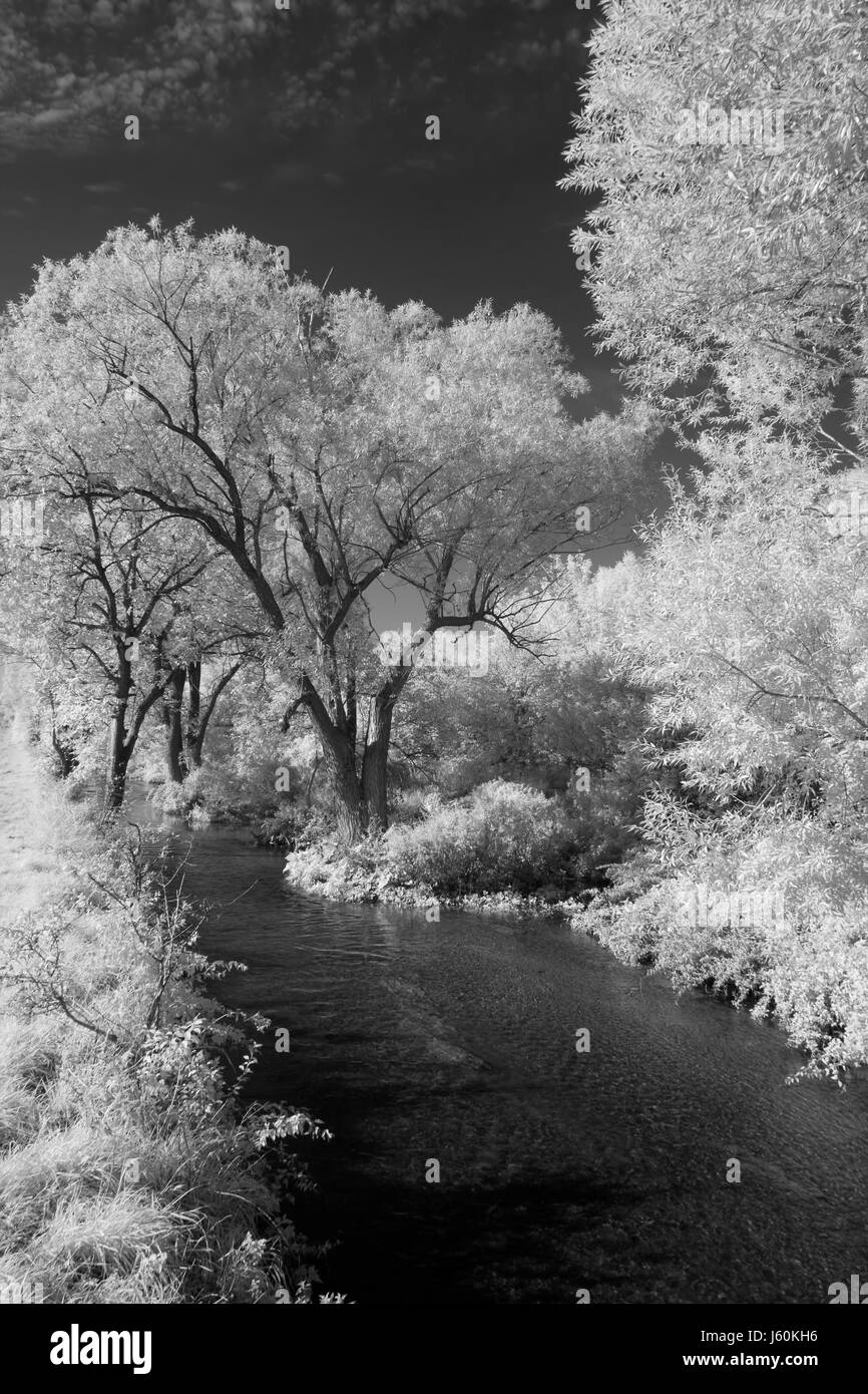 Baum-Stream Infrarot-Bank Landschaft Landschaft Natur Flusswasser schwarz und Stockfoto