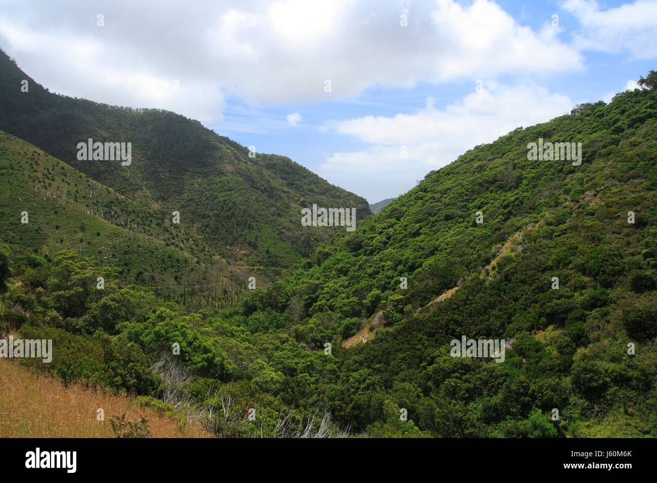 gehen Sie Wandern Wandern Wanderung Atlantik Salzwasser Meer Ozean Wasser Portugal Stockfoto