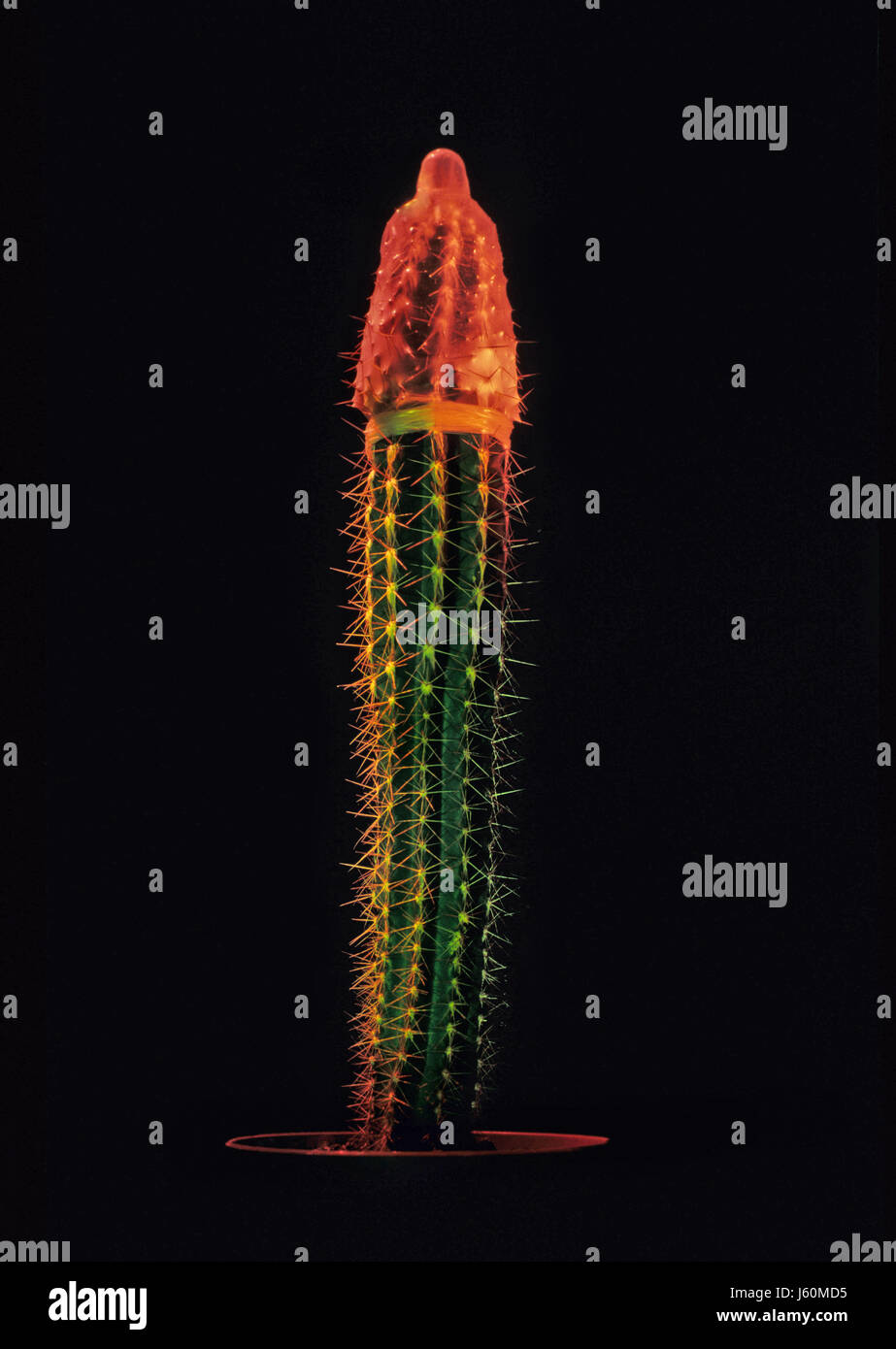 Religion Kribbeln, Kaktus Verhtung Kondom rot Risiko, das Kribbeln, grn  gefrbt Stockfotografie - Alamy