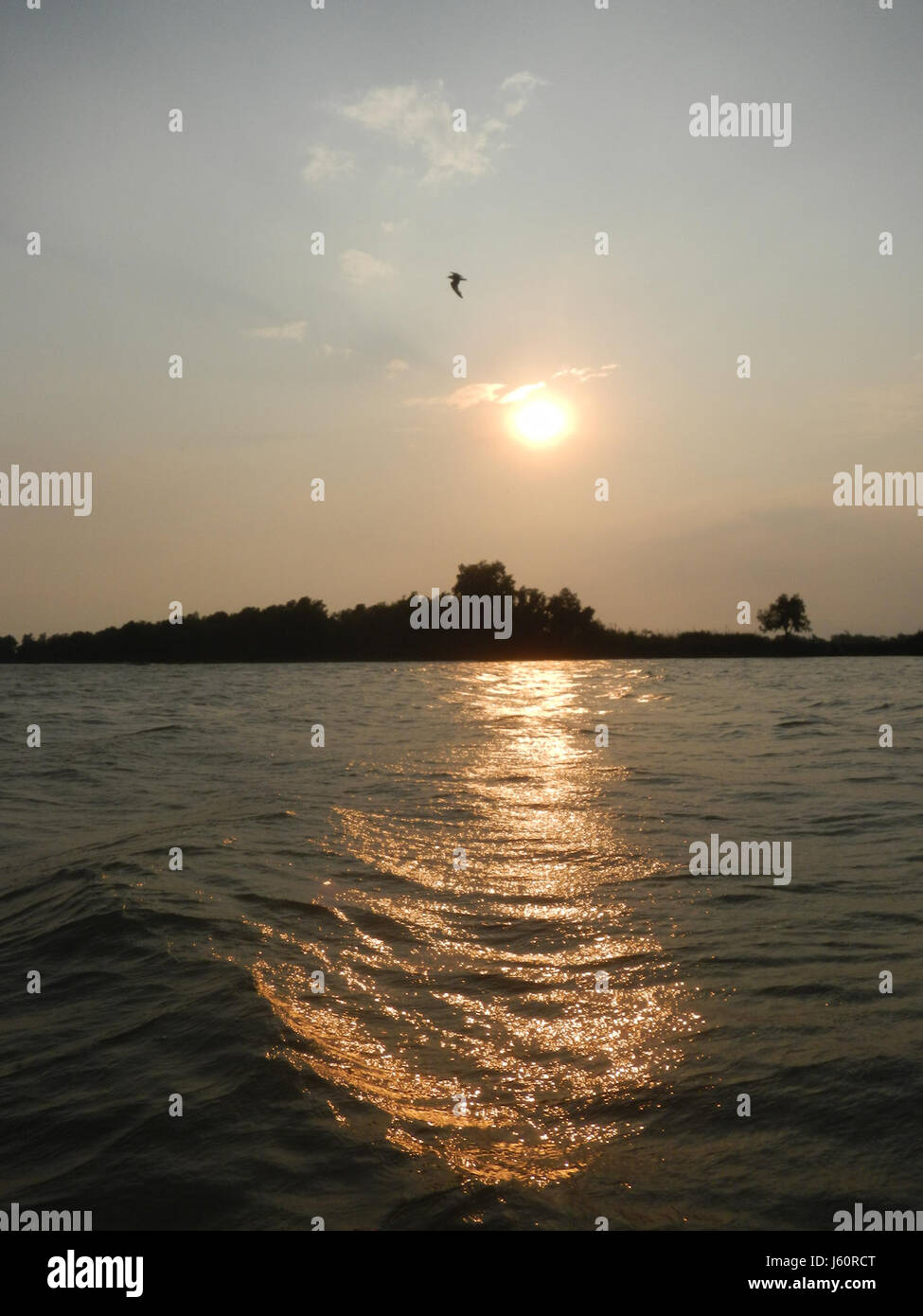 Masantol ist eine Gemeinde in Pampanga auf den Philippinen, die für ihre Flussbezirke, Dörfer und Flussufer bekannt ist. Diese Gebiete sind von entscheidender Bedeutung für die lokale Landwirtschaft, insbesondere für die Reiszucht, und bieten wichtige Ökosysteme sowohl für Wildtiere als auch für menschliche Siedlungen. Die Region wird durch das nahe gelegene Flusssystem beeinflusst, das Landwirtschaft und Fischerei unterstützt. Stockfoto