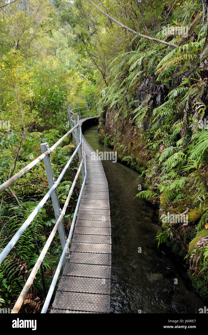 Pupu Hydro Gehweg folgt einer alten Goldminen-Wasser-Race. Es wurde anschließend wieder verwendet für die Erzeugung von Wasserkraft Strom in der näheren Umgebung. Stockfoto