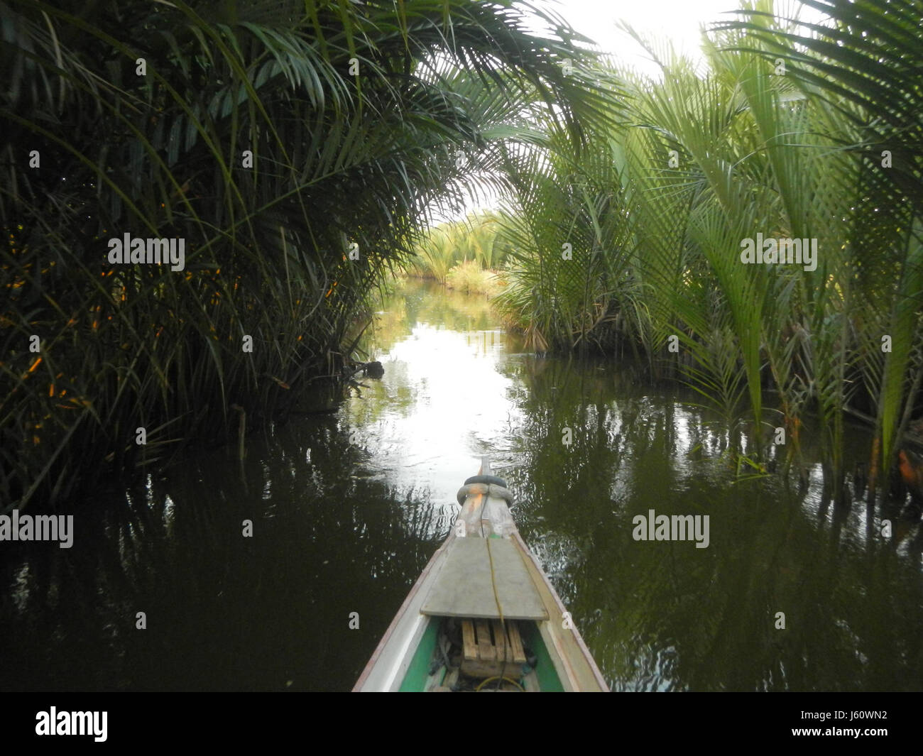 Der Blick auf den Sonnenuntergang über den Calero River in Panasahan, Malolos, San Jose und Paombong in Bulacan ist atemberaubend und bietet lebendige Farben, wenn der Tag in die Nacht übergeht. Diese Gebiete sind bekannt für ihre natürliche Schönheit und die malerischen Flusslandschaften, die oft lokale Fotografen und Naturliebhaber anziehen. Stockfoto