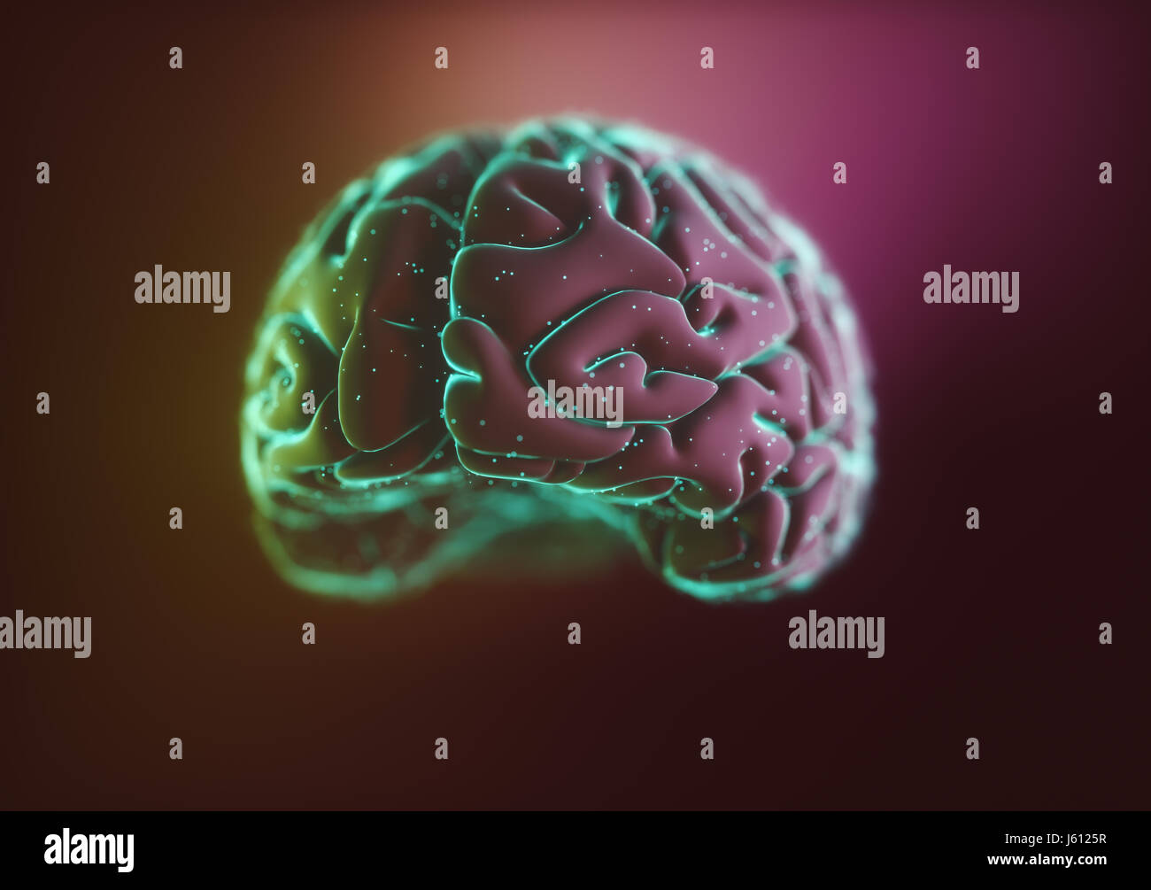 3D Illustration. Stilisierte Bild eines Gehirns in eine Flüssigkeit mit Luftblasen um. Stockfoto