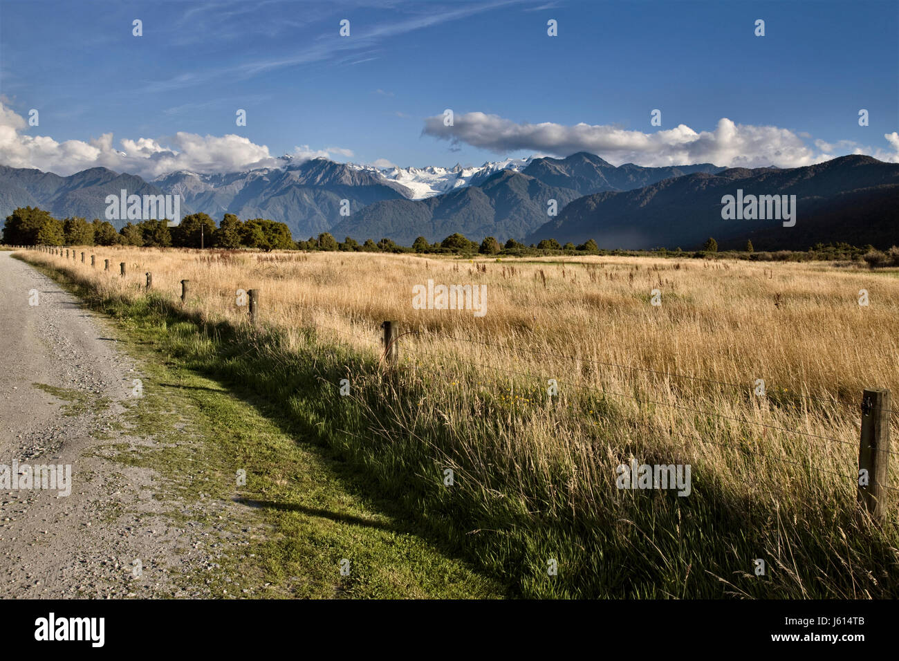 Fox Glacier Neuseeland ländliche unbefestigte Straße Südalpen Stockfoto