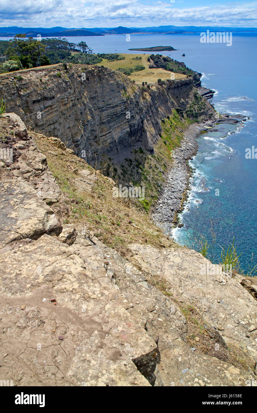 Das Fossil Cliffs auf Maria Island Stockfoto