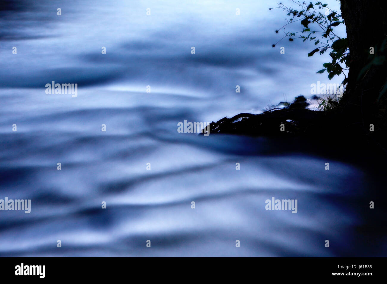 nächtliche Stimmung Stream mystischen Fluss Wasser Natur dunkles Blau Blatt Baum Nacht Stockfoto