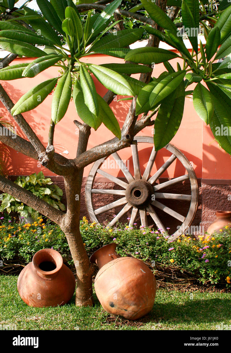 Baum Garten Blume Blumen Pflanzen Töpfe Pflanzen Garten Stillleben Baum Garten Rad Stockfotografie