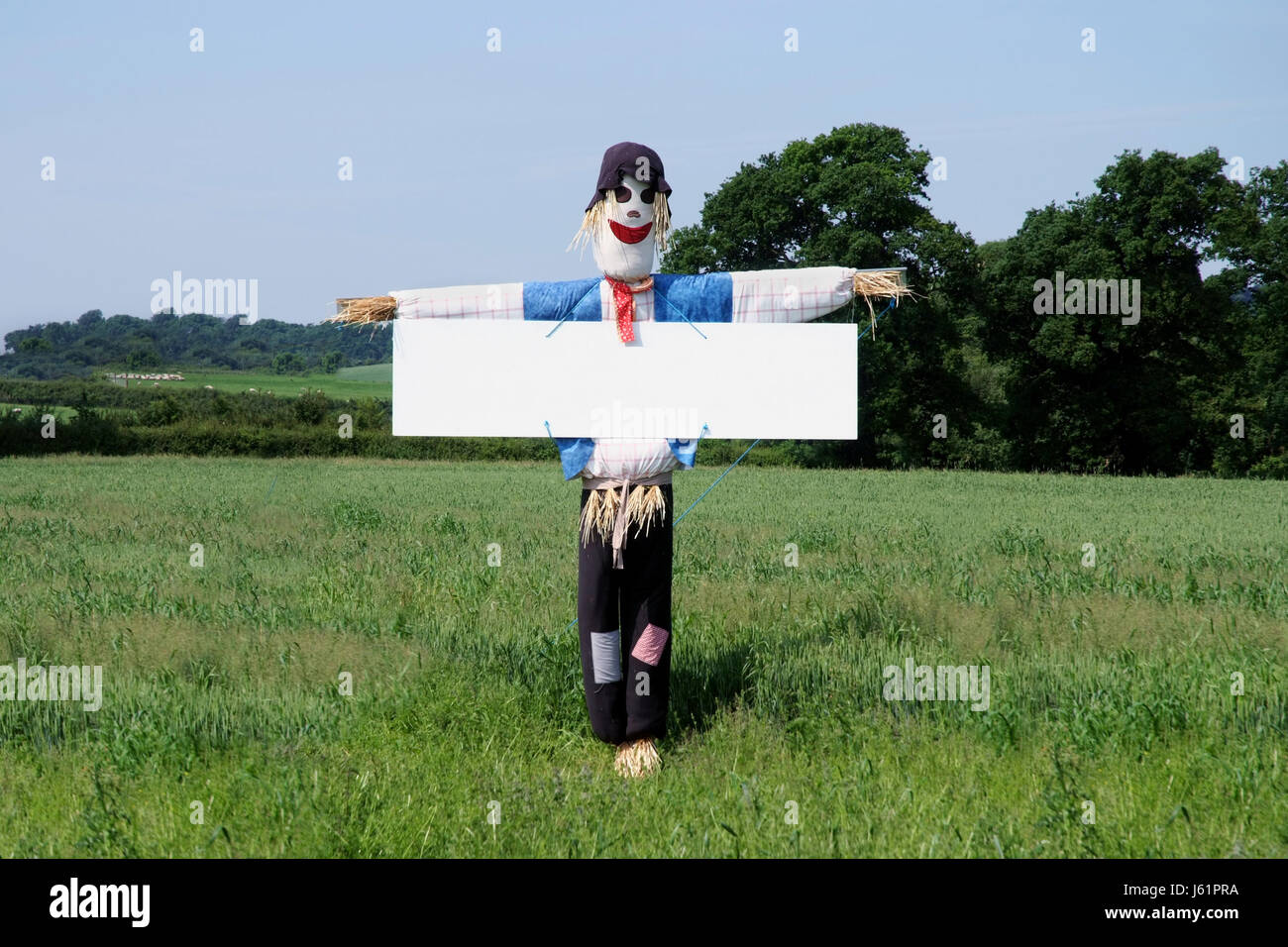 Vogelscheuche lustig Fotos und Bildmaterial in hoher Auflösung Alamy