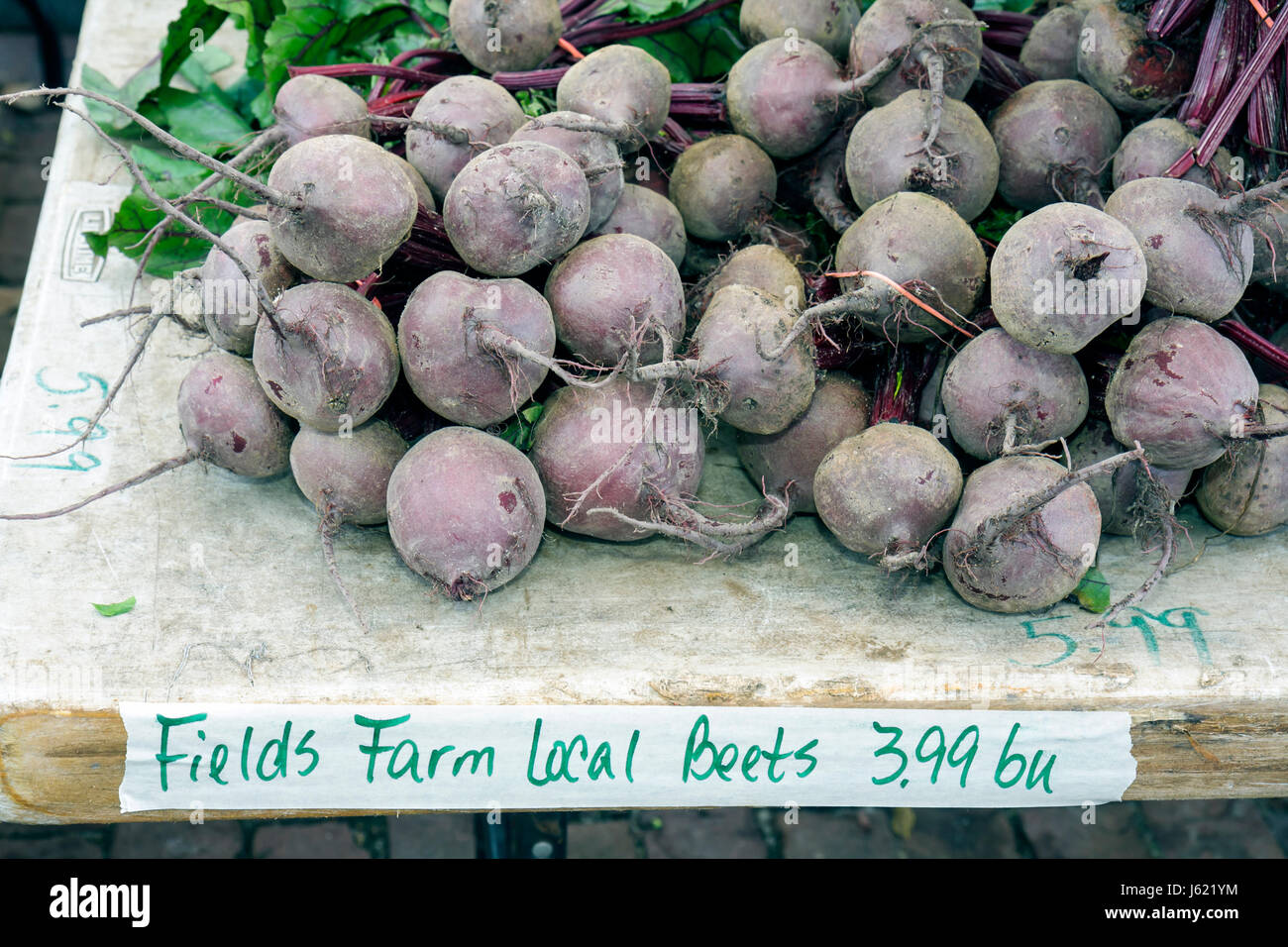 Charleston South Carolina, Marion Square, Bauernmarkt, Bauernmarkt, Bauernmarkt, Gemeindeaktivitäten, frische Produkte, lokale Produkte, Handwerker, Kunsthandwerk, Rüben, Wurzelfleisch Stockfoto