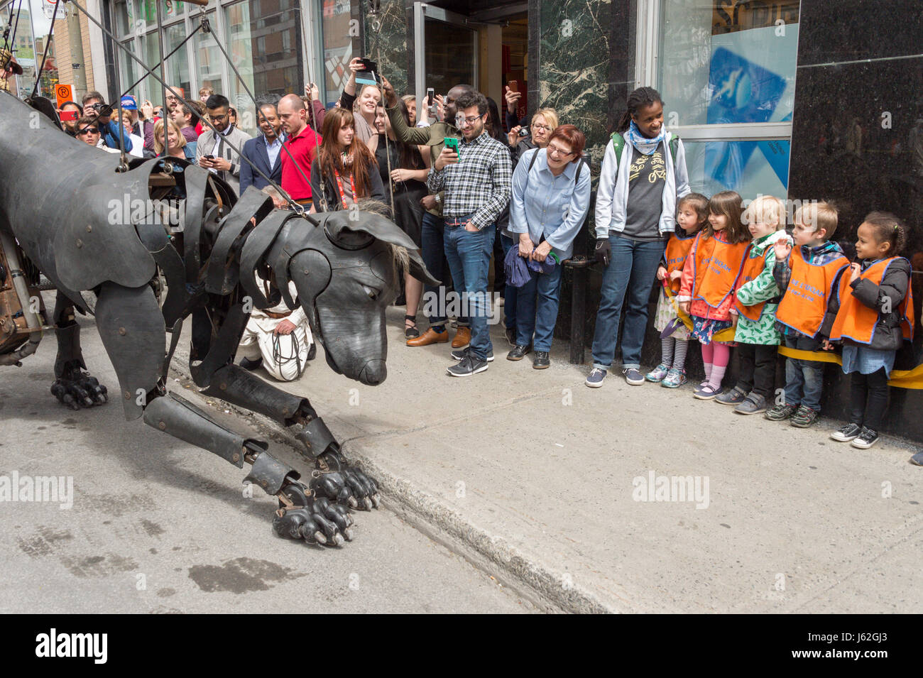 Montreal, Kanada. 19. Mai 2017. Royal de Luxe Riesen im Rahmen der Gedenkfeiern zum 375-jährigen Jubiläum der Montreal Credit: Marc Bruxelle/Alamy Live News Stockfoto