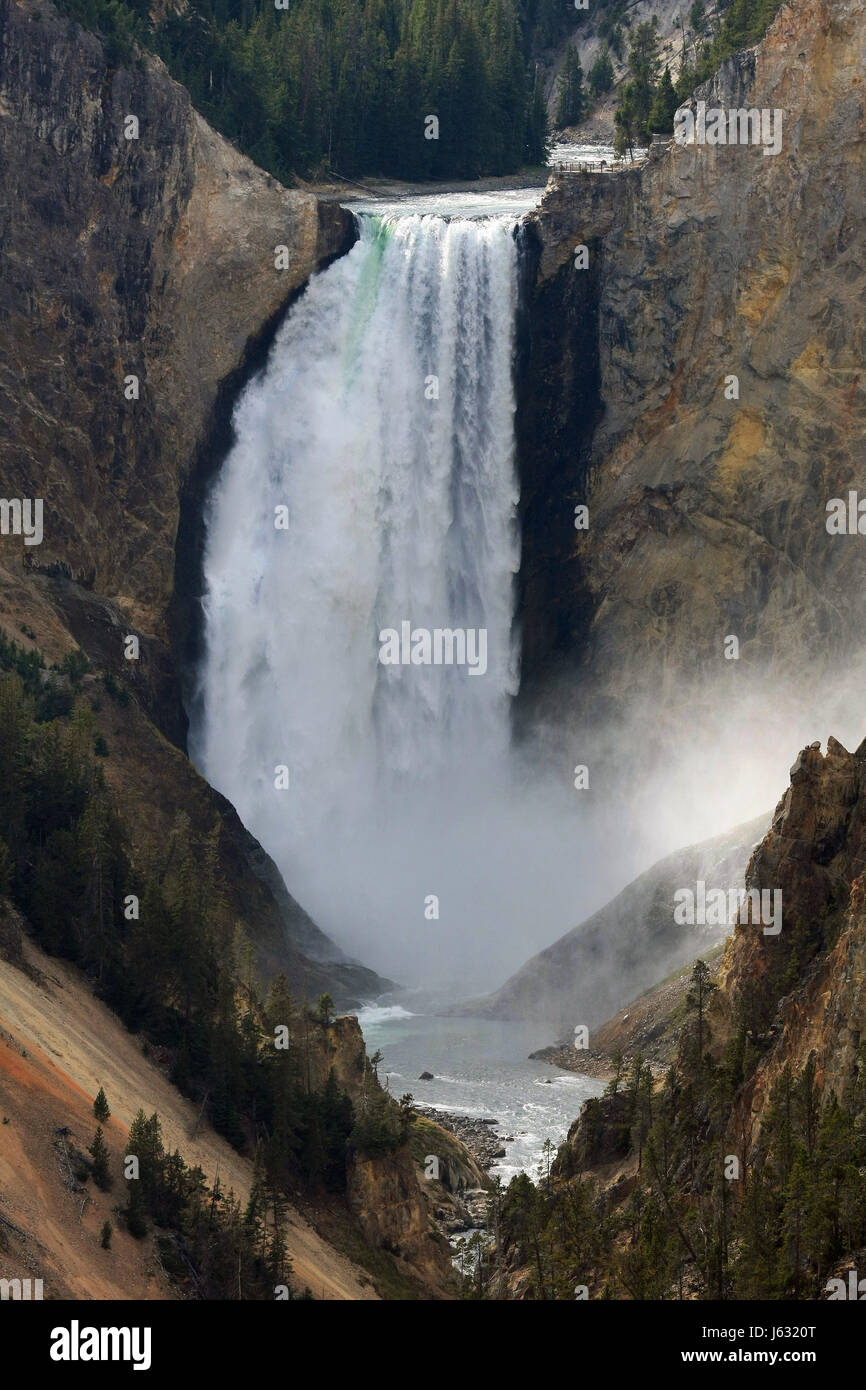 Yellowstone-Kleinbuchstaben 001 Stockfoto