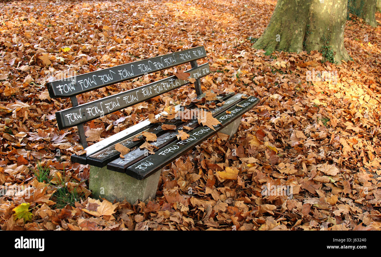 Baum Blätter schreiben Schrift Typografie Herbstlaub Saison Auburn Sitzbank fallen Stockfoto