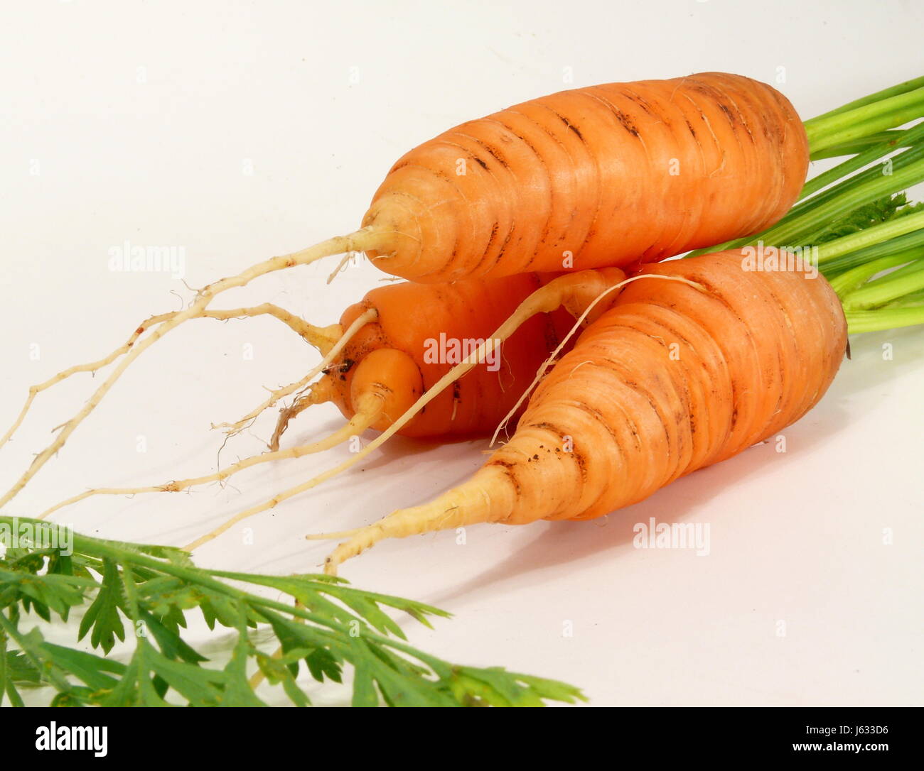 Wurzel Karotte Kohlrabi Blätter Laub Eco biologische Wurzel Gemüse Karotte orange Stockfoto
