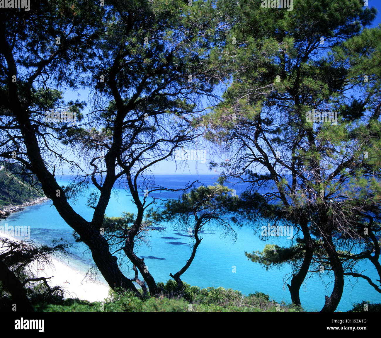 blaue Griechenland Strand Meer Strand Küste griechische Bucht Klippe blaue Reisen Baum Stockfoto
