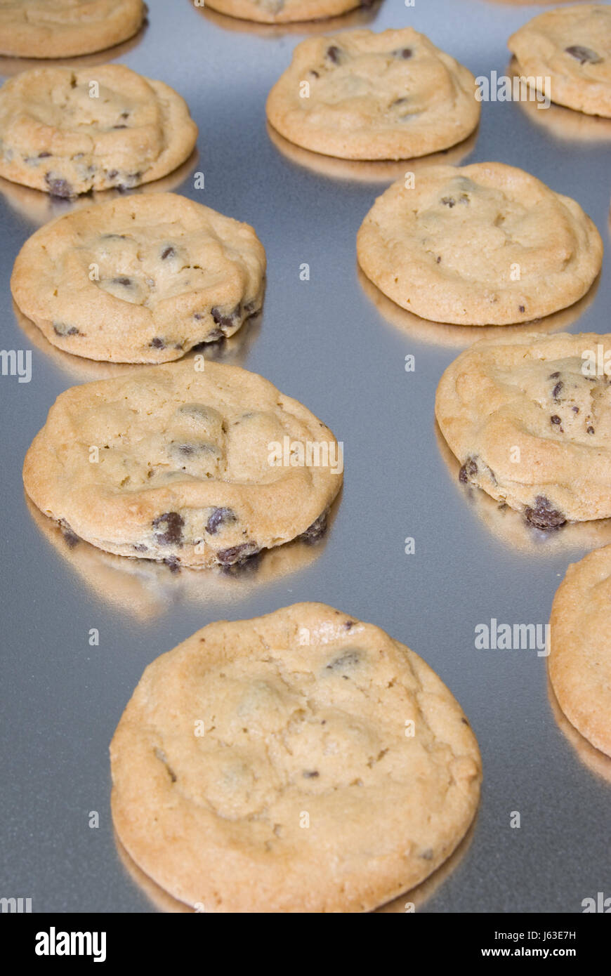 Kekse Cookies behandeln hausgemachtes Dessert frische Schokolade Pfanne  Bratpfanne chip Stockfotografie - Alamy