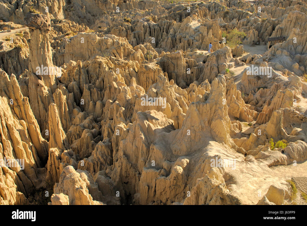 Moon Valley Anden Bolivien Mond Tal Südamerika Anden Bolivien Valle Stockfoto