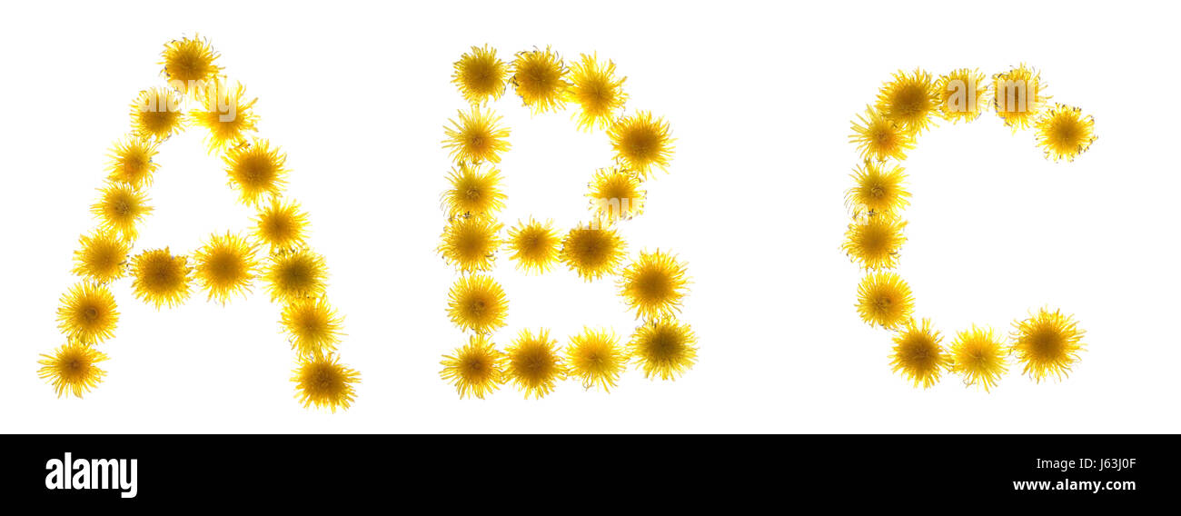 Blume Blumen Pflanzen Blüten Buchstaben Löwenzahn Brief bluten Alphabet ABC Zeichen Stockfoto