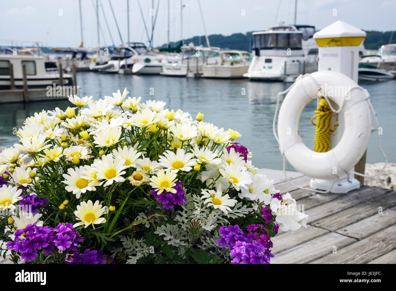 Michigan Traverse City, Old Mission Peninsula, West Arm Grand Traverse Bay, Bowers Harbour Marina, Pflanzer, Gänseblümchen, Geranien, Flotationsgerät, PFD, lebensrette Stockfoto