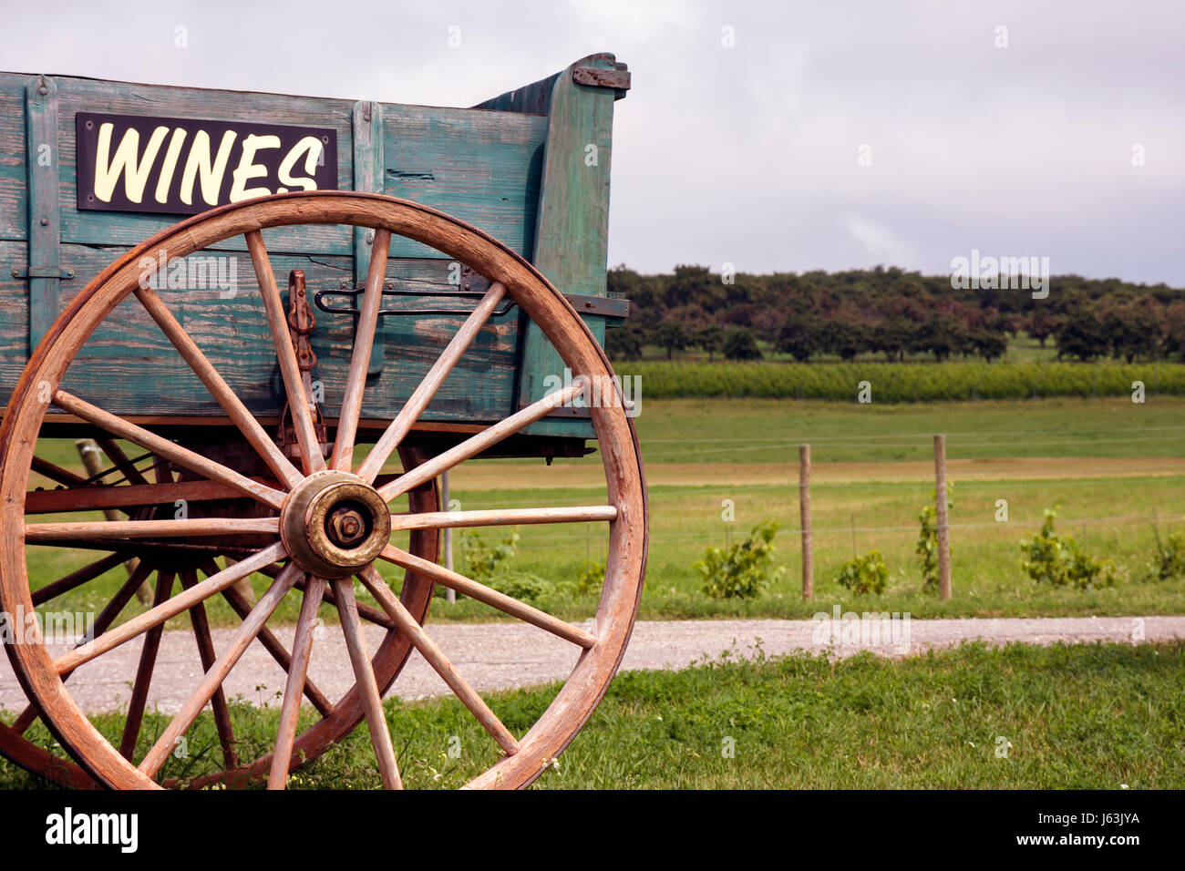 Michigan Traverse City, Leelanau Peninsula, Gill's Pier, Weingut, Waggonrad, Trauben, Weinreben, Speichen, Weine, Schild, antik, MI080718055 Stockfoto