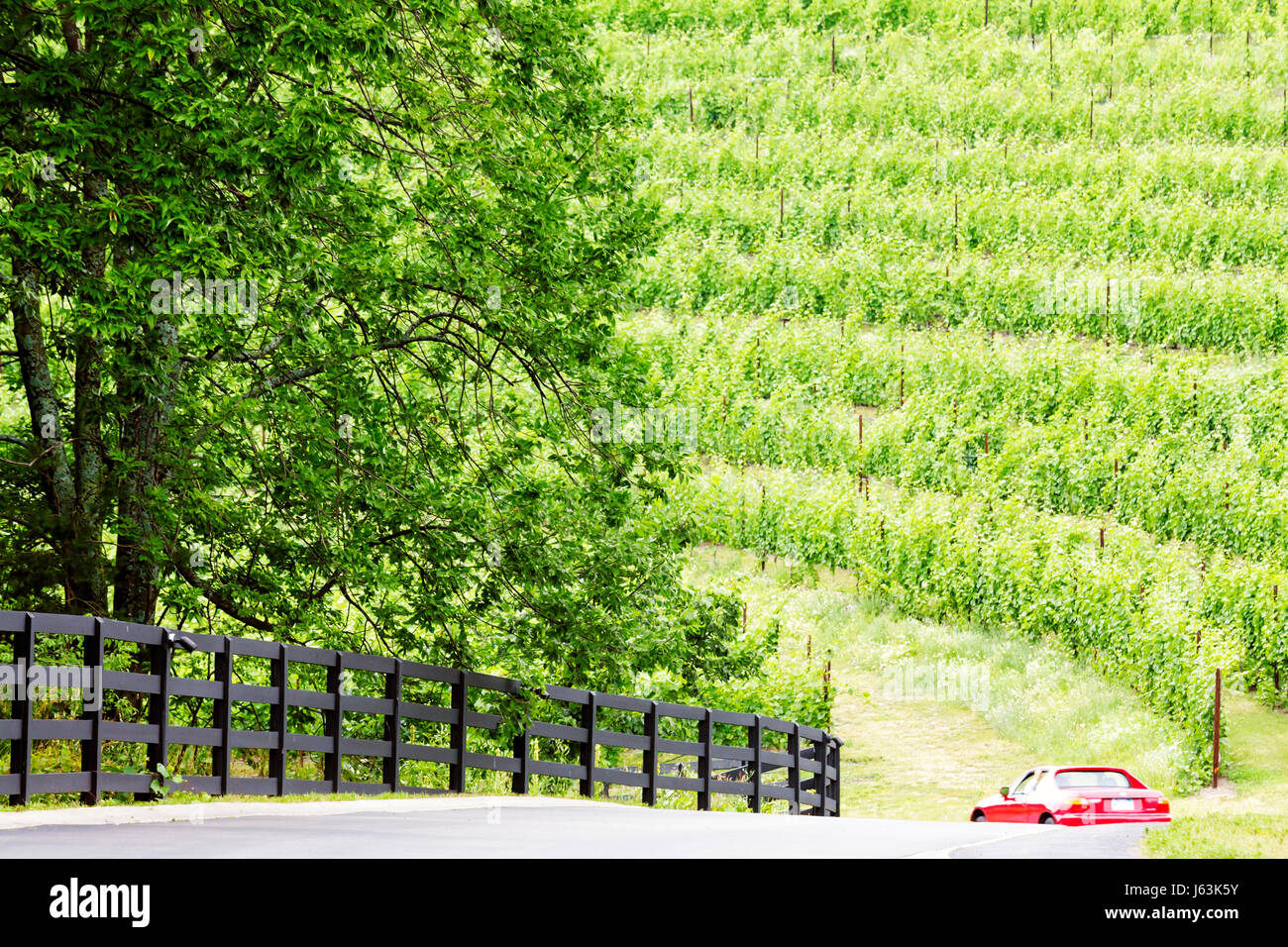 Weinberge in der f Stockfotos und bilder Kaufen Alamy