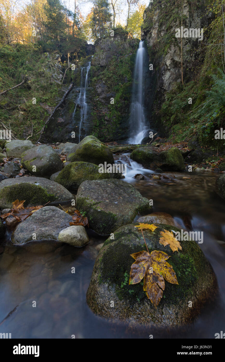 Kleiner Wasserfall im Wald im Elsass Stockfoto