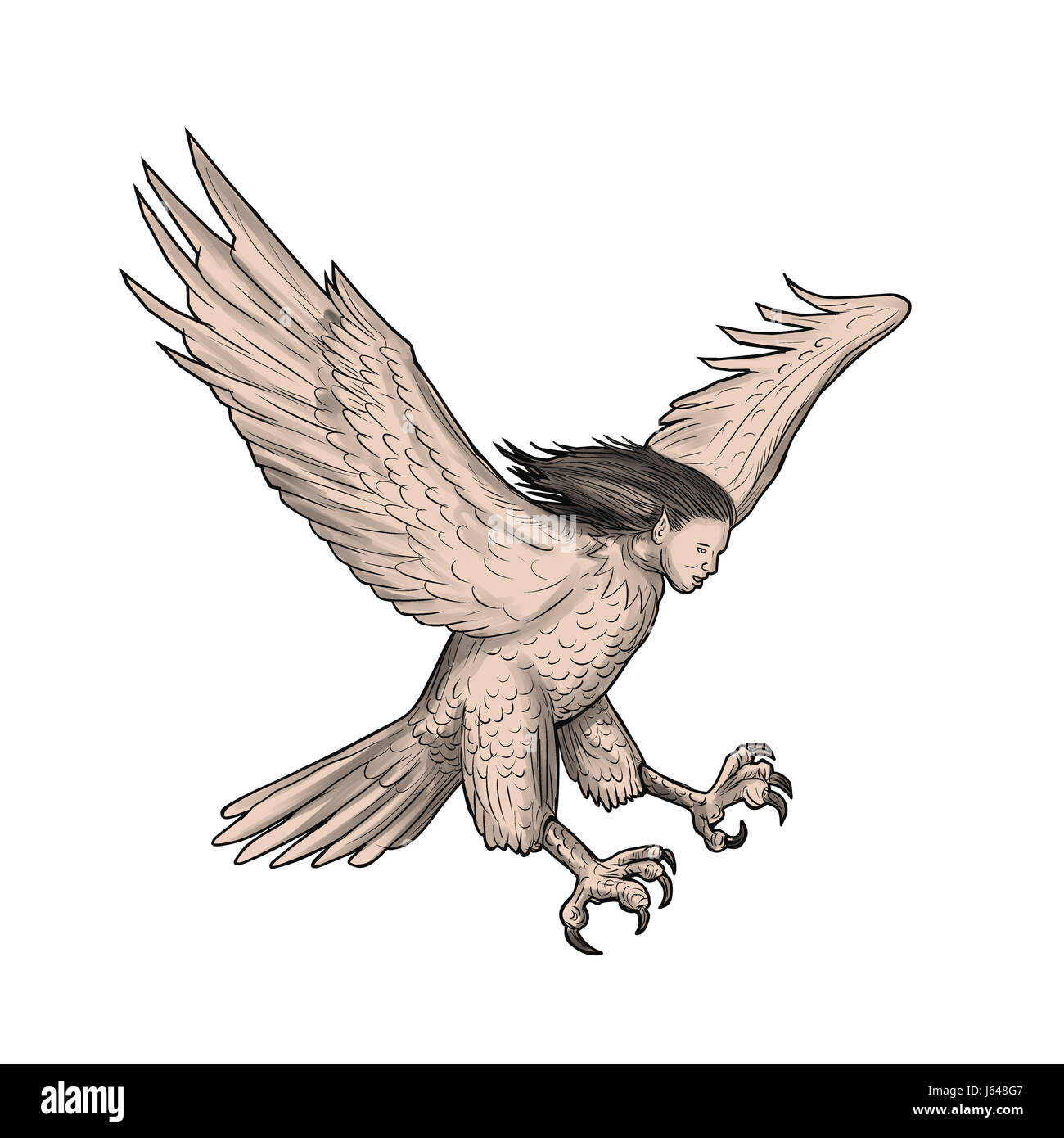 Tattoo Stil Illustration einer Harpyie, in griechischen und römischen