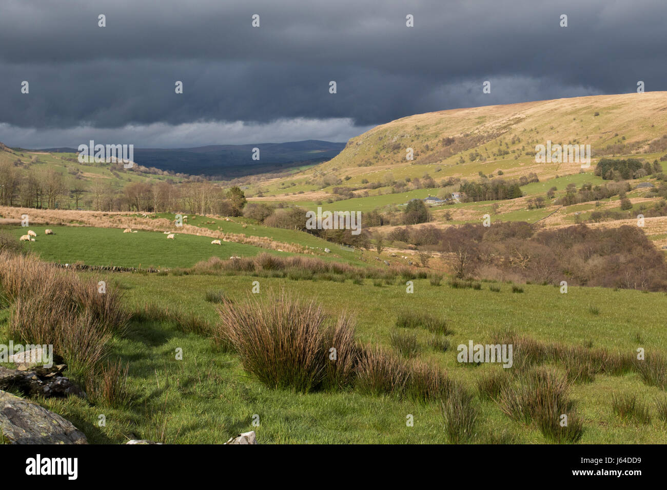 ungewöhnliche Wetter im Conwy Valley (Starkregen im unteren Tal mit Sonnenschein in den oberen Weiden) Snowdonia National Park, Wales Stockfoto