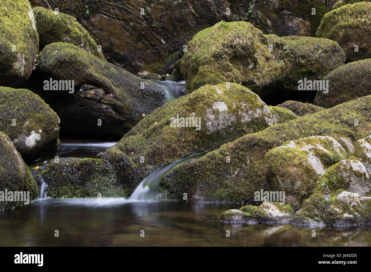 Gebirgsbach fließt über moosbewachsenen Felsen im Snowdonia National Park, Wales Stockfoto