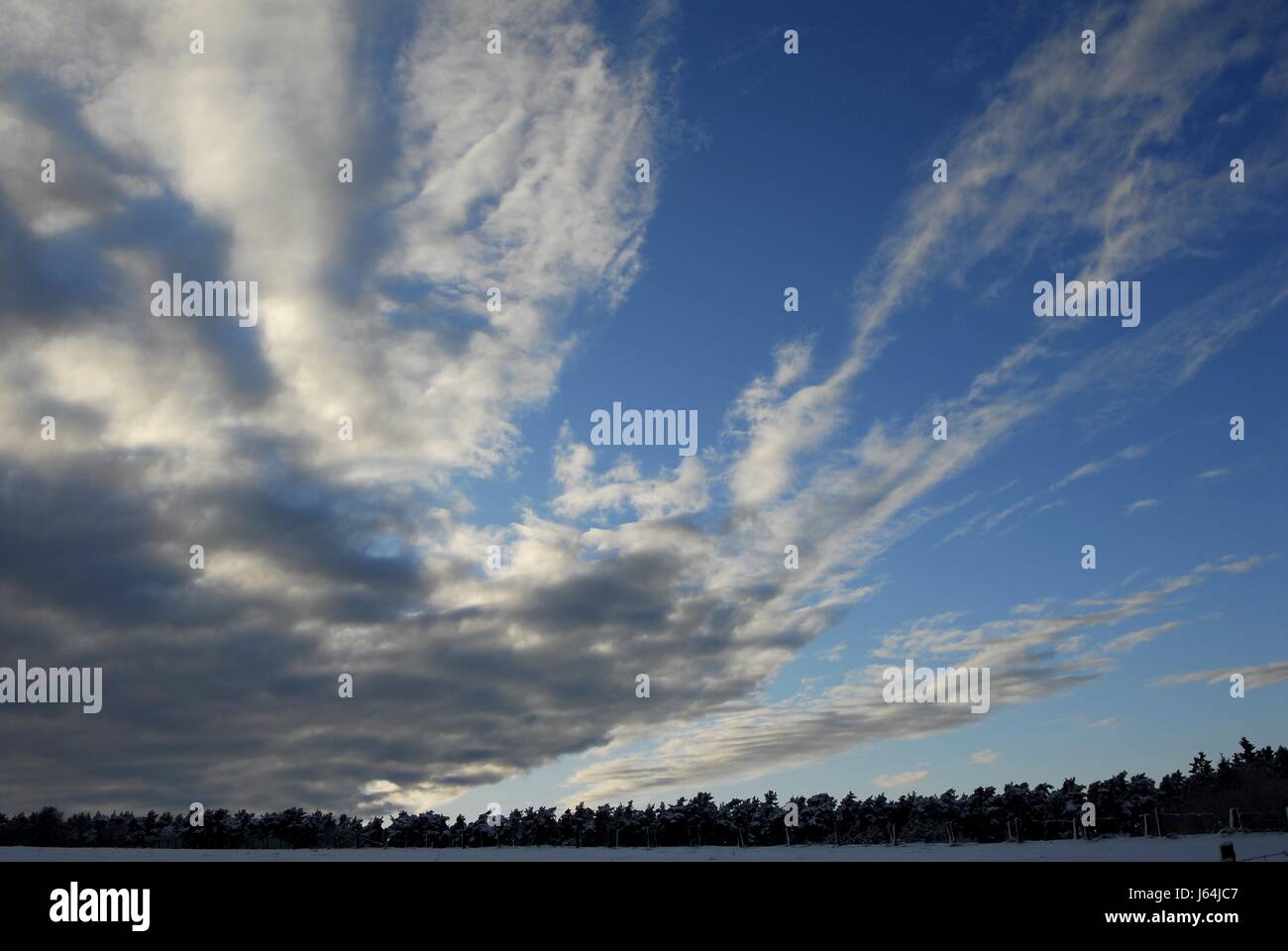 Winter, Firmament, Himmel, Wolken, Winter, Firmament, Himmel, Schnee, Wolken, Weide, wolkenfetzen Stockfoto
