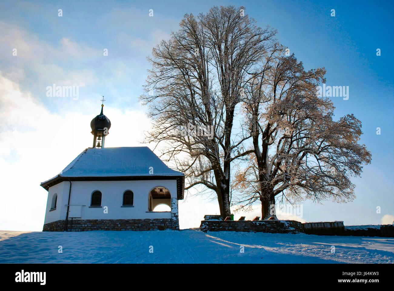 Überzeugung Baum Winter Kapelle Track Kalk Schnee Glanz erstrahlt lucent hell Stockfoto