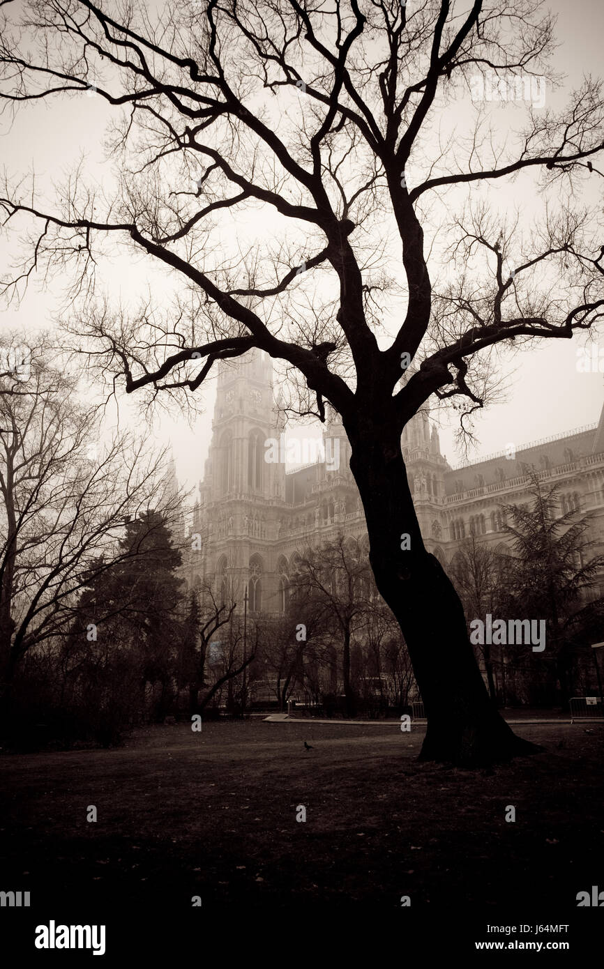 Baum vor dem Gebäude des Wiener Rathauses, Österreich Stockfoto