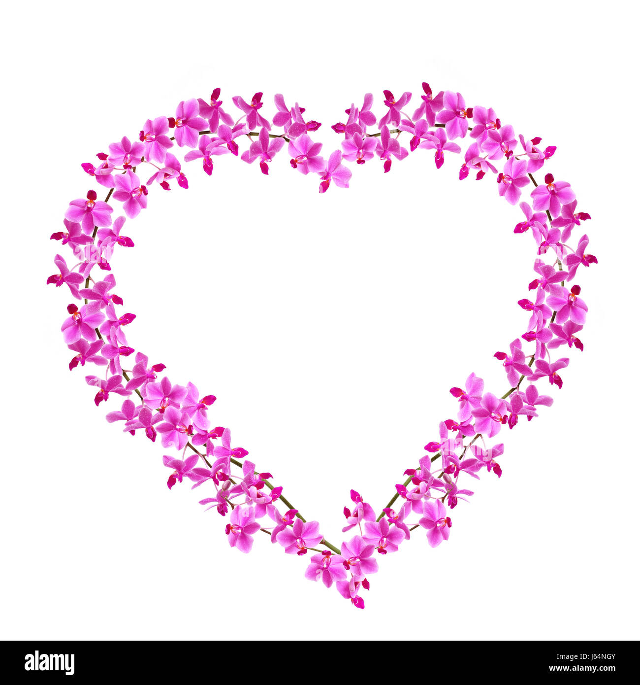Liebe in der Liebe verliebte sich in Liebe Herz Blume Orchidee Pflanze Blüte Blüte gedeihen Stockfoto