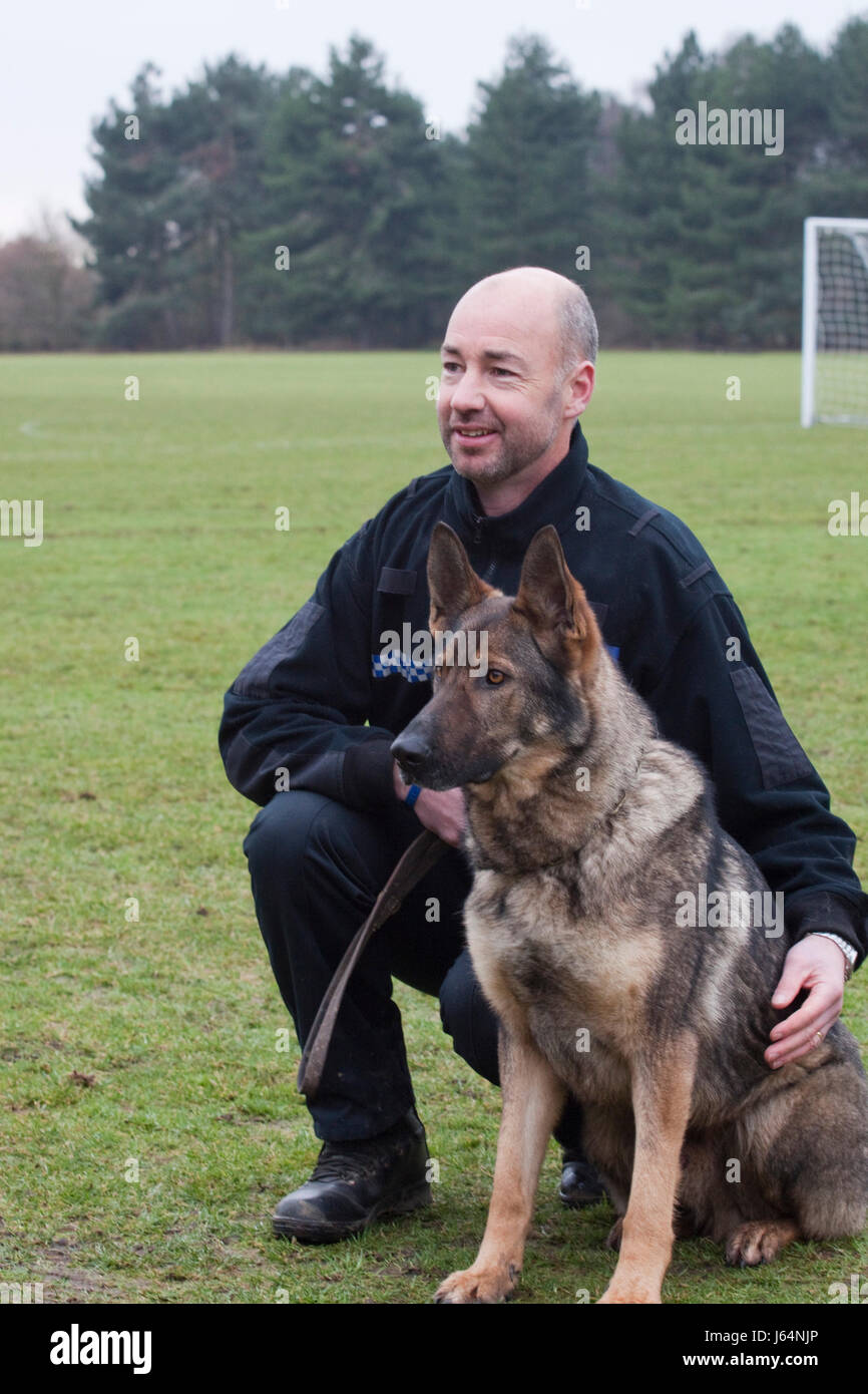 Suffolk Constabulary Polizist mit seinem Hund Stockfoto