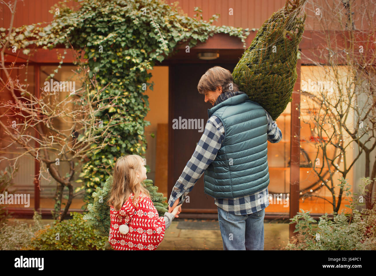 Vater und Tochter tragen Weihnachtsbaum in Richtung Haus Stockfoto