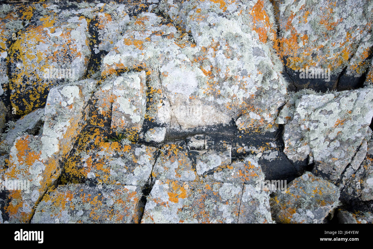 Stein Stein Moos Granit Zopf grauen grauen Steinen Luftperspektive Makro Stockfoto