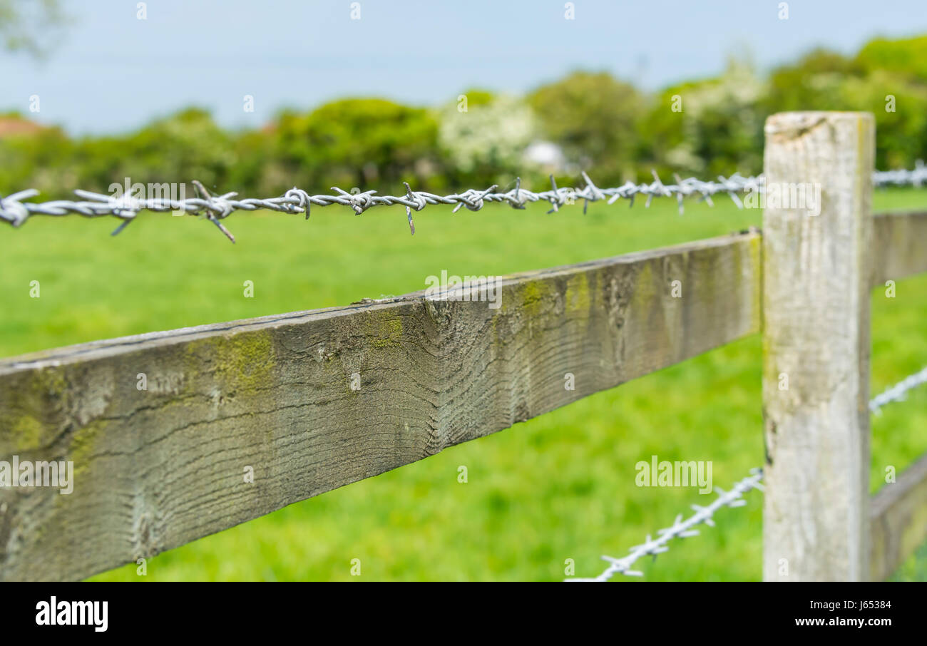 Stacheldraht auf einem hölzernen Zaun rund um ein Feld auf dem Lande. Stockfoto