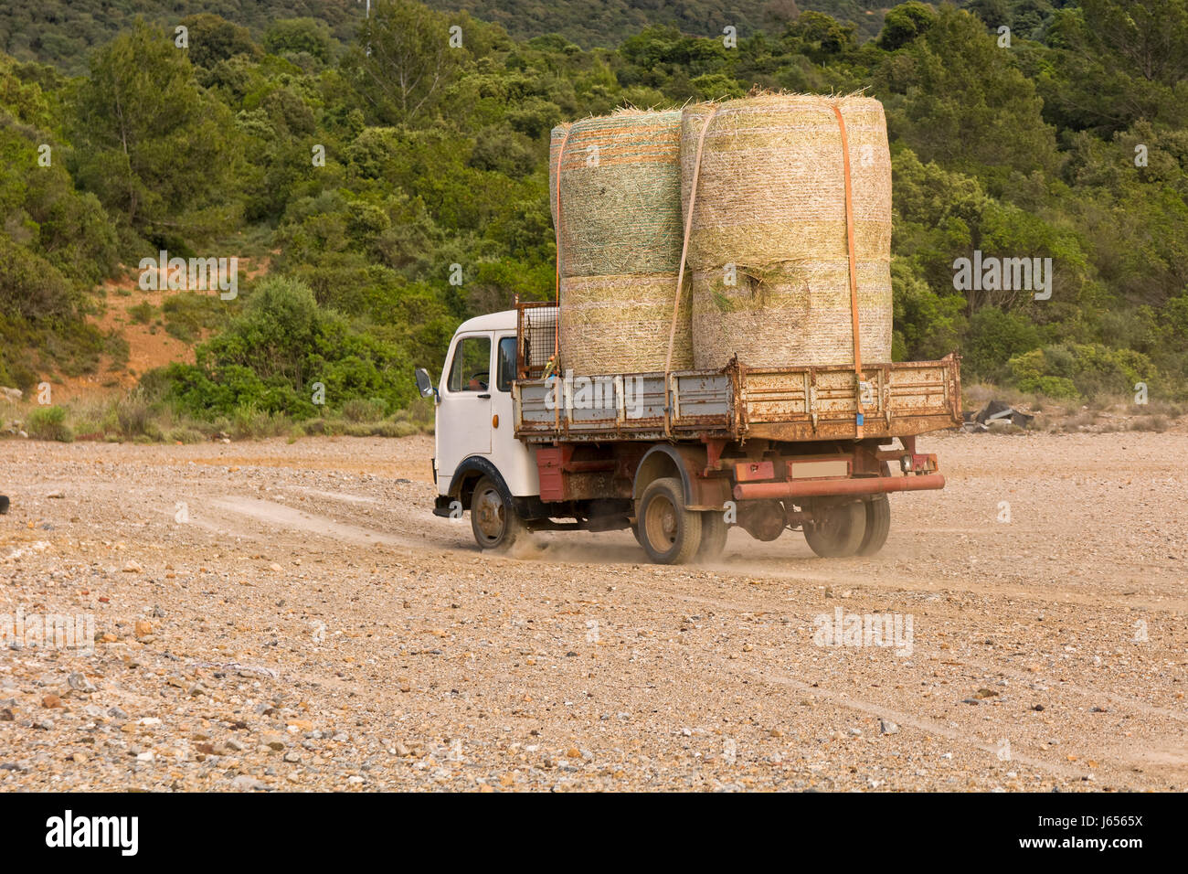 Alter Lkw trägt Futter auf dem Dach auf dem Lande. Stockfoto