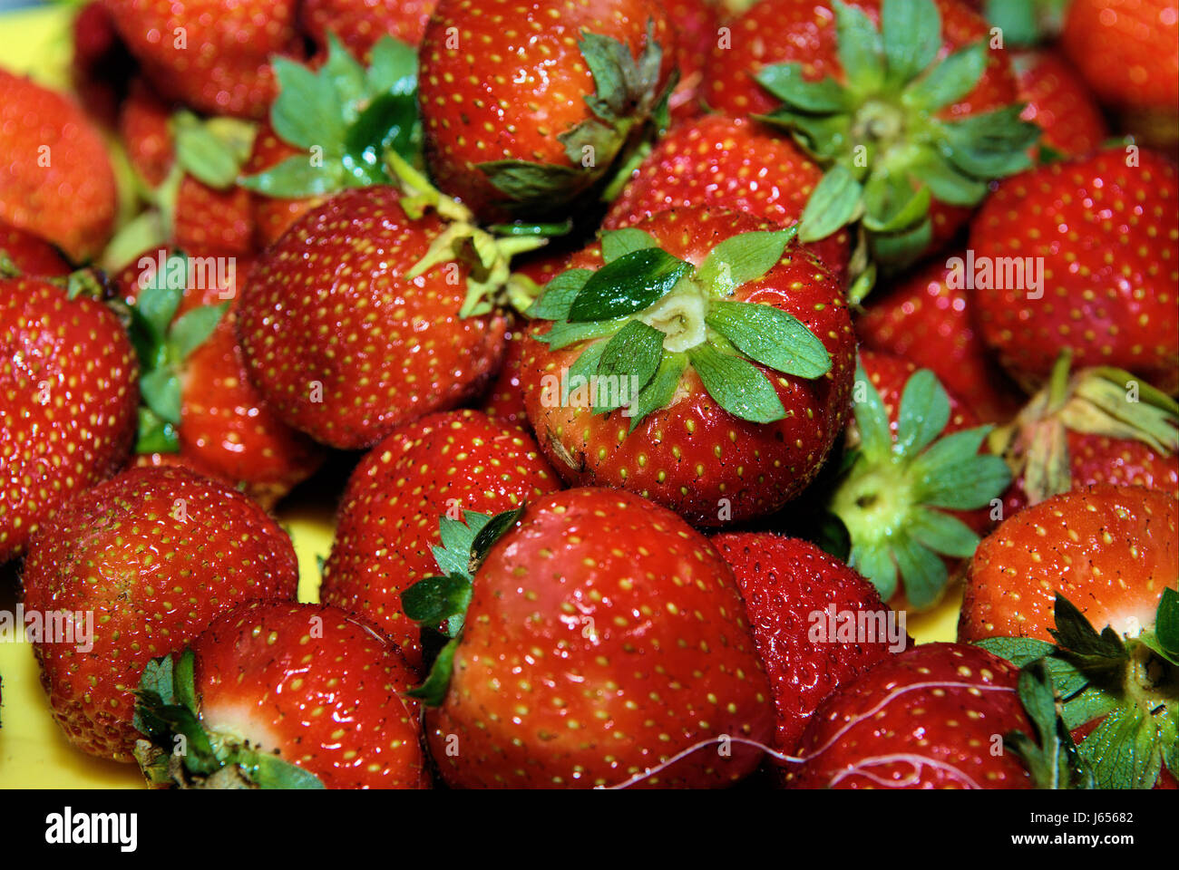 Knabbern Sie Frucht rote Erdbeeren gelbe knabbern Frucht rote Erdbeeren gelb  Stockfotografie - Alamy