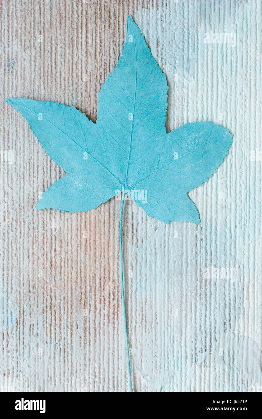 Ahorn Pastell Türkis blaues Blatt gedrückt Hintergrund Hintergrund blau Blatt Pastell Stockfoto