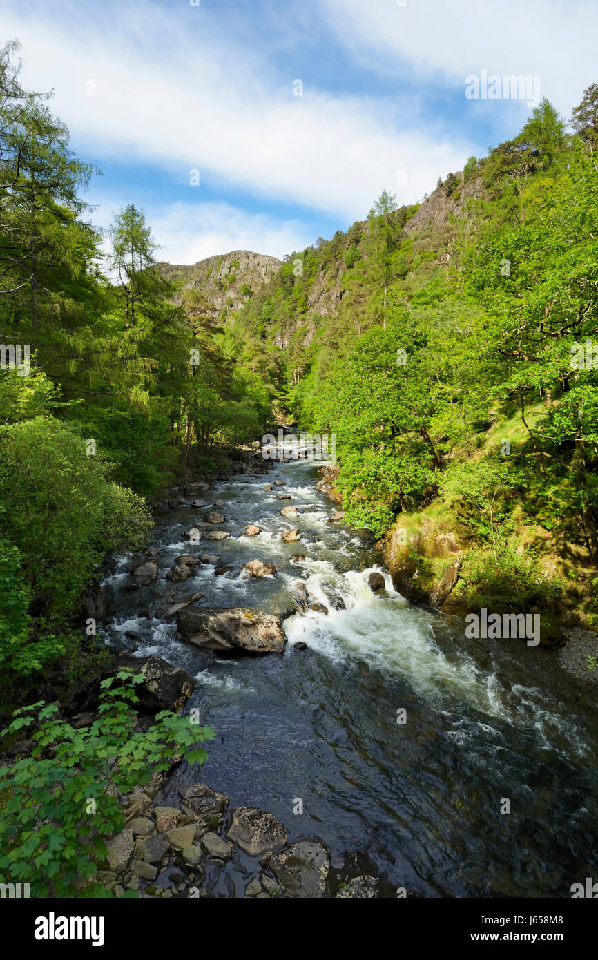 Afon Glaslyn fließt durch den Aberglaslyn Pass in Snowdonia. Er entspringt, Llyn Glaslyn "hoch oben in den Snowdon Horseshoe Afon Glaslyn fließt Stockfoto