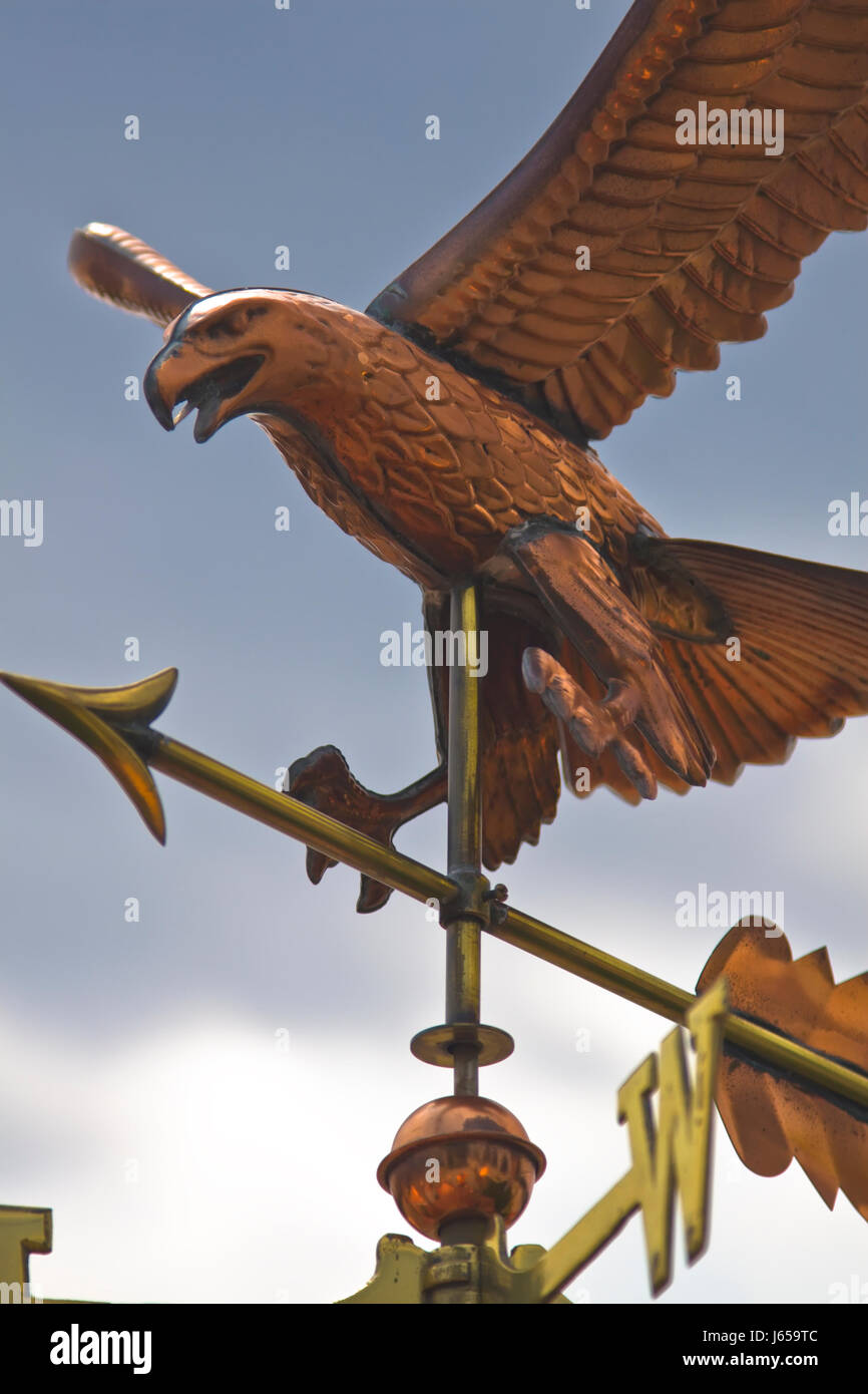 Richtung Adler amerikanische Flug Tiere Vogel Wolke Skulptur Flügel Usa Amerika Stockfoto