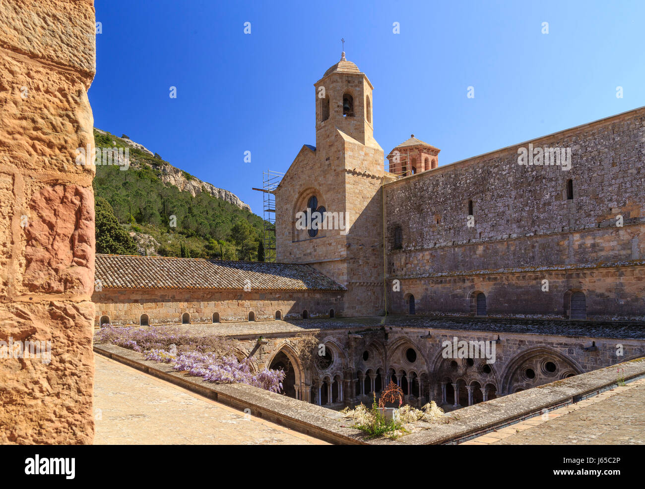Frankreich, Aude, Narbonne, Fontfroide Abtei, Kreuzgang und Kirche Stockfoto
