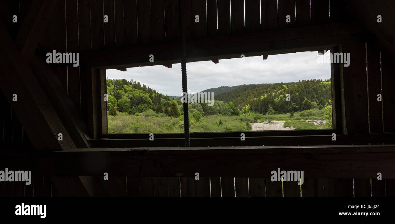 Wald, angesehen durch Fenster der überdachten Brücke im Fundy National Park, Alma, New Brunswick, Kanada Stockfoto