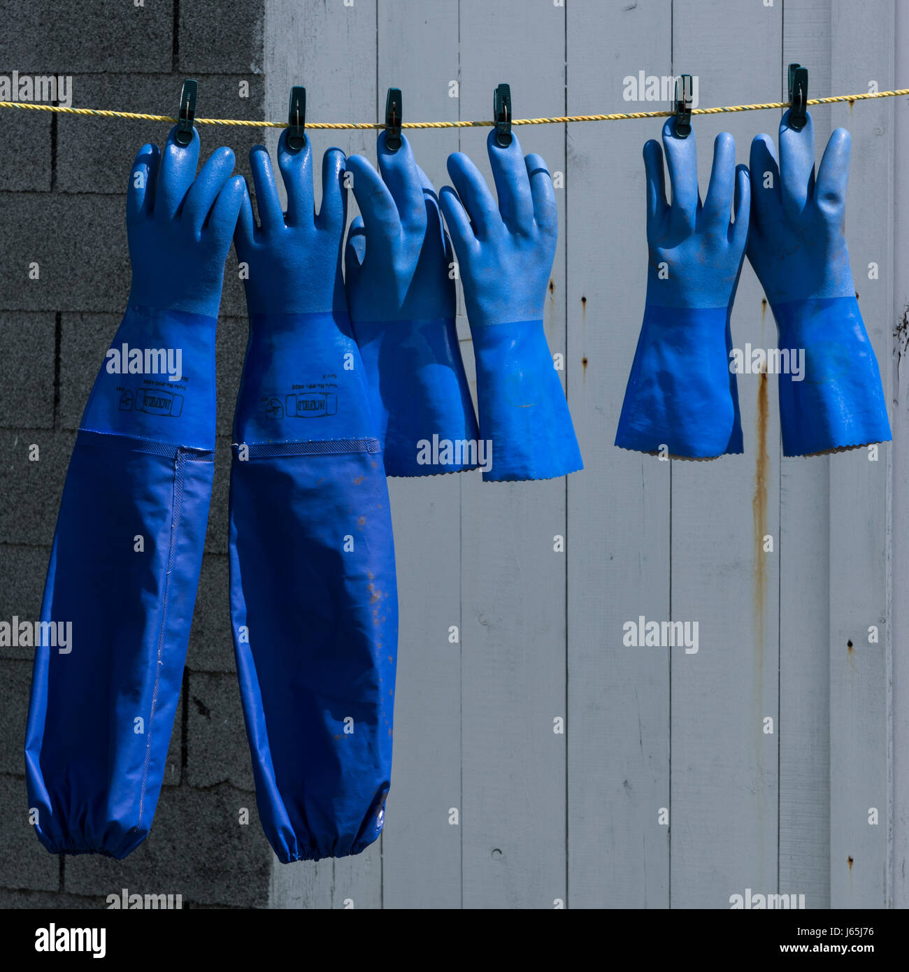 Angeln Handschuhe hängen am Hafen West Dover, Halifax, Nova Scotia, Kanada Stockfoto