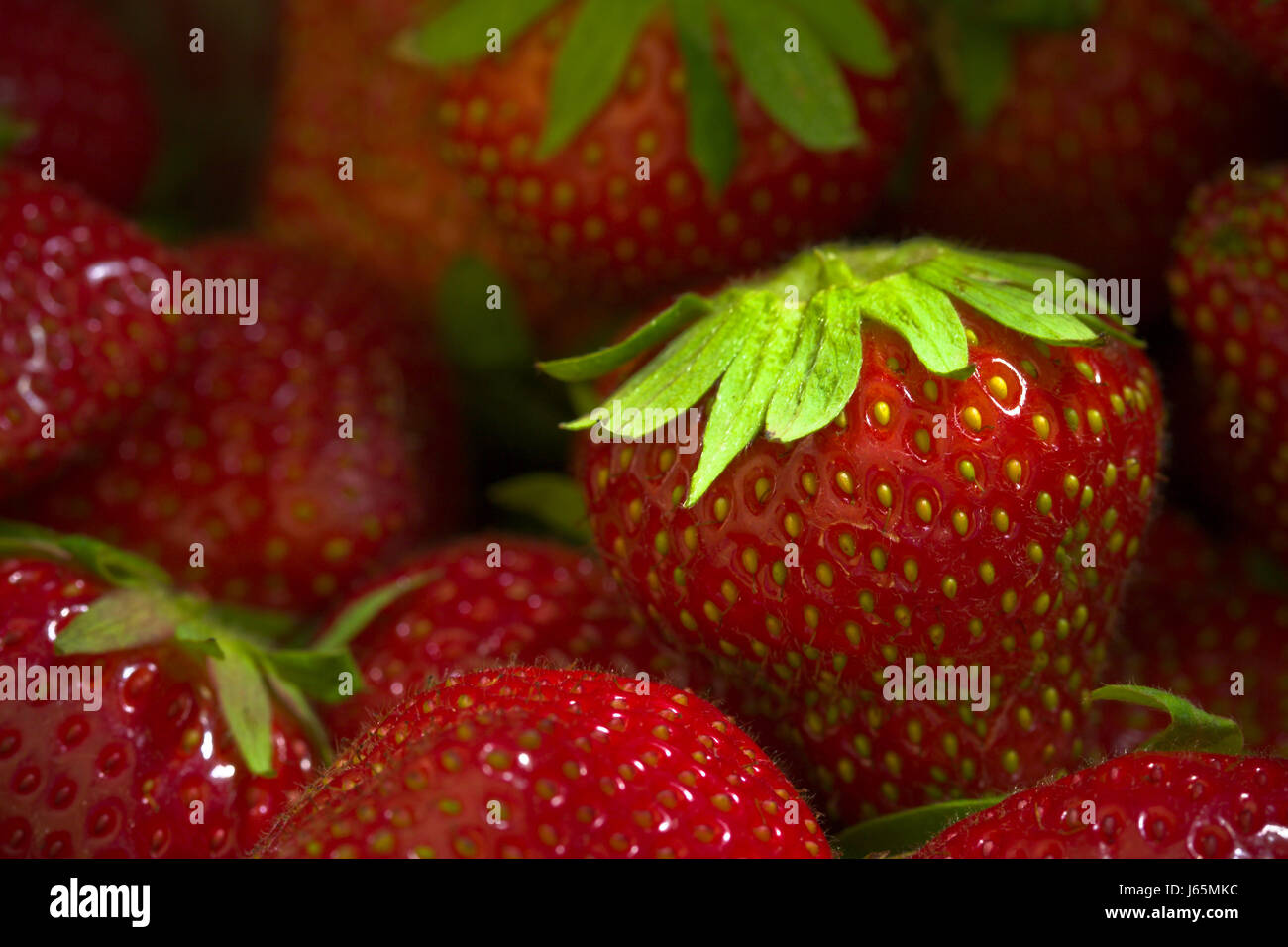 Closeup Obst Erdbeeren produzieren rot frisch herstellen gesunder Markt enger Essen Stockfoto