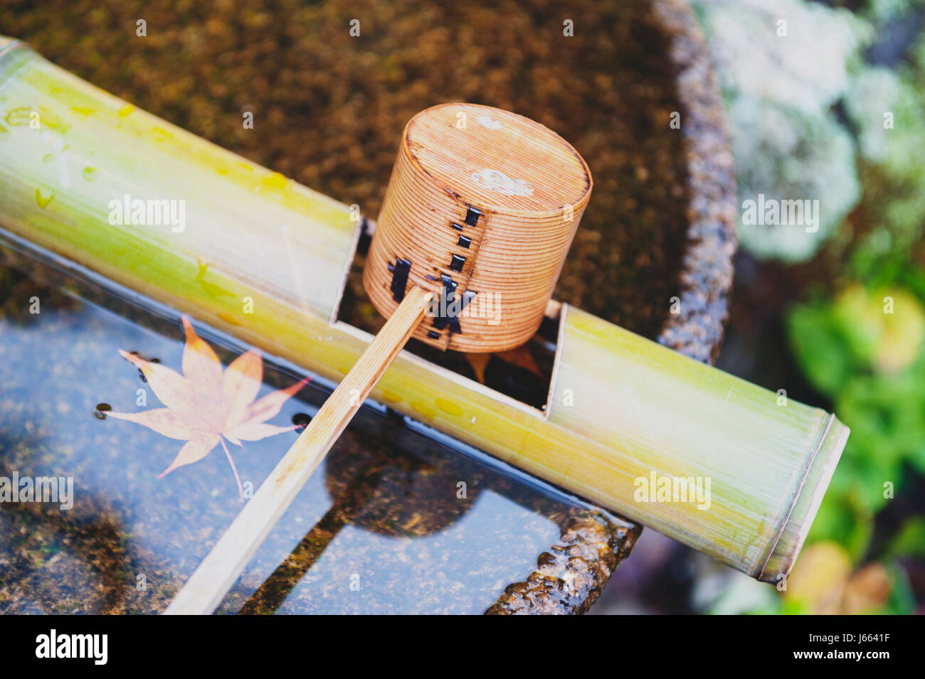 Japanische hölzerne Reinigung Dipper in einem Chozubachi oder Wasser Becken verwendet, um die Hände in japanischen Tempeln, Schreinen und Gärten zu spülen. Stockfoto