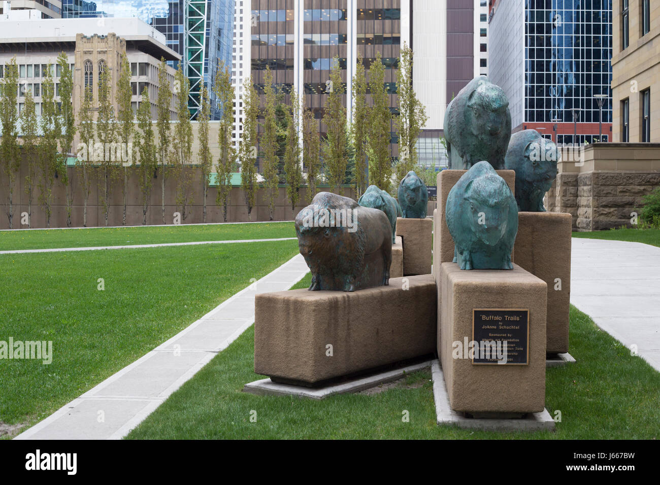 Buffalo-Trails bronze-Skulptur des Künstlers JoAnne Schachtel in der Innenstadt von Calgary Stockfoto