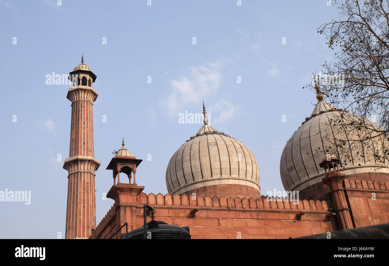 Die spektakuläre Architektur des die große Freitagsmoschee (Jami Masjid) am 13. Februar 2016, Delhi, Indien. Stockfoto